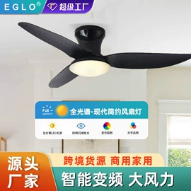 风扇灯;吊扇;灯控制器