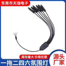 4P��ĸ���L��һ�϶������Շ����B�Ӿ���܇ӛ䛃x���L�����l܇�d