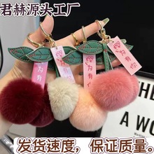 ���ў����㡿�«H��ëС������܇耳׿ے��insë�q�����Y��