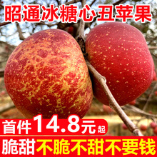 �����ͨ���O���������O��ˮ�����r����10��t¶��ʿ����������]