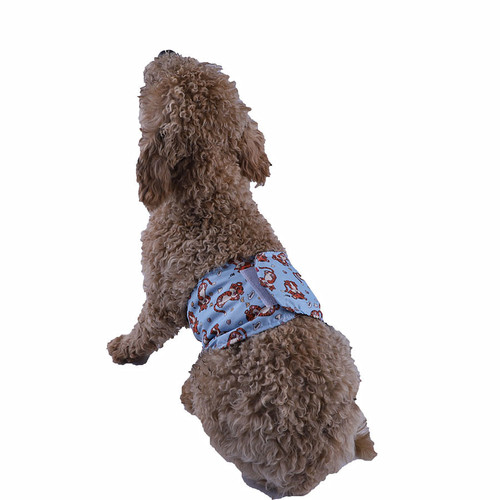 Pet physiological pants, Amazon hot-selling male dog diaper, male dog physiological pants, Teddy washable dog courtesy pants