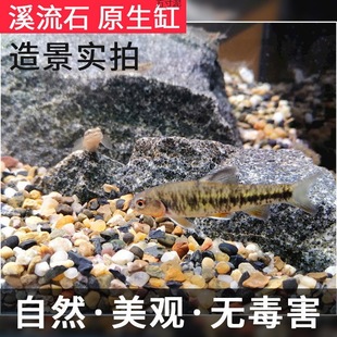 Stream stone fish tank special bottom sand primary stream bottom sand aquarium decorative landscaping small stones a wholesale