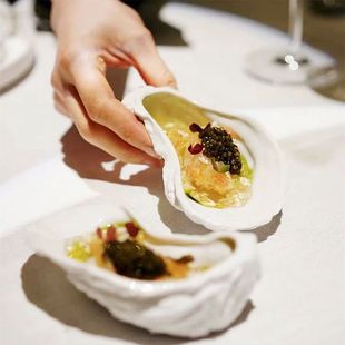 Creative Ceramic Oyster Shell Molecular Cuisine Creative Tableware Imported Plate French Special-Shaped Zhaozheng