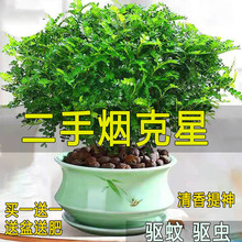 ����x������ľ�ļ����B�k���ҾGֲ�������Ի���ֲ���҃Ȼ�������