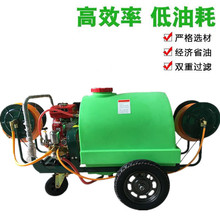 养殖场物业小区消毒高压喷雾器 160升300升喷药机 园林汽油打药车
