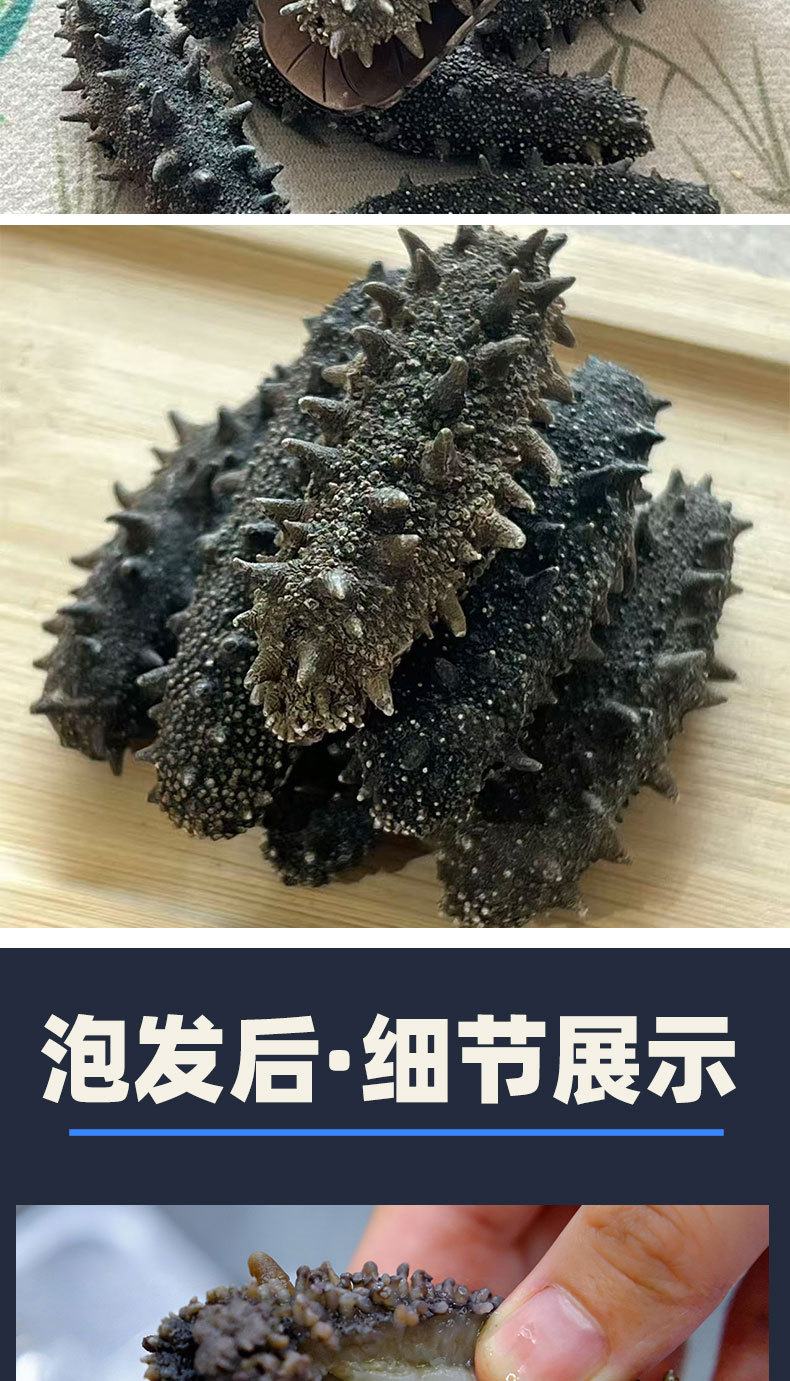 Pure Lightly Dried Liaoning Sea Cucumber 6-7 Year Grade A 50g Gift Box quality and texture