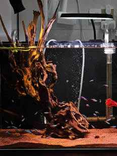 60-120���~�׳�ľ�쾰��������ľ���ϳ�ľ���^�b[��