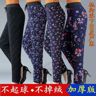 2025 Winter Popular Middle-Aged and Elderly Women's Pants Plus Fat and High Waist Tie Silver Fox Velvet Cotton Pants Street Stall Hot Sale Supply