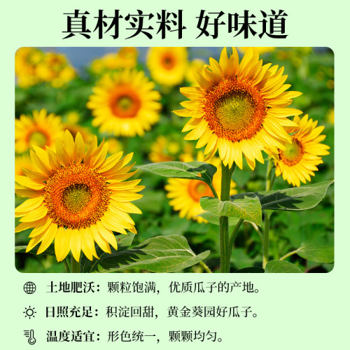 Hamster small black sunflower seeds snacks Parrot pigeon bird food raw sunflower seeds melon seeds Diamond dove bird food 250g