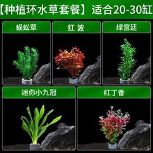 ˮ���~���쾰���T�ײ͑�����������tɫ�m͢�Ź��ͺ����B