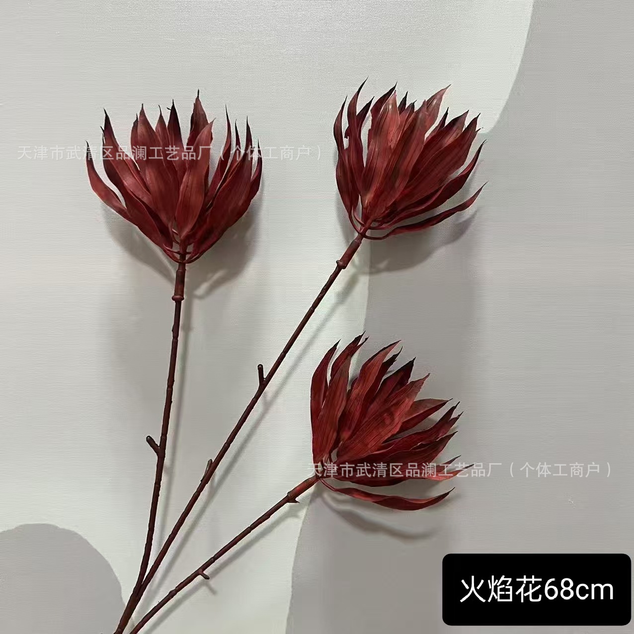 불꽃 꽃