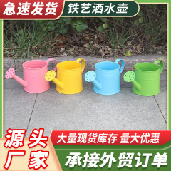 メーカー直供鉄芸水筒カラー園芸水筒子供多肉植物水筒