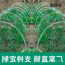 �˵عǼ��r��������ܲˈ@֧�ܹ���N�˹��U����С�����߲�