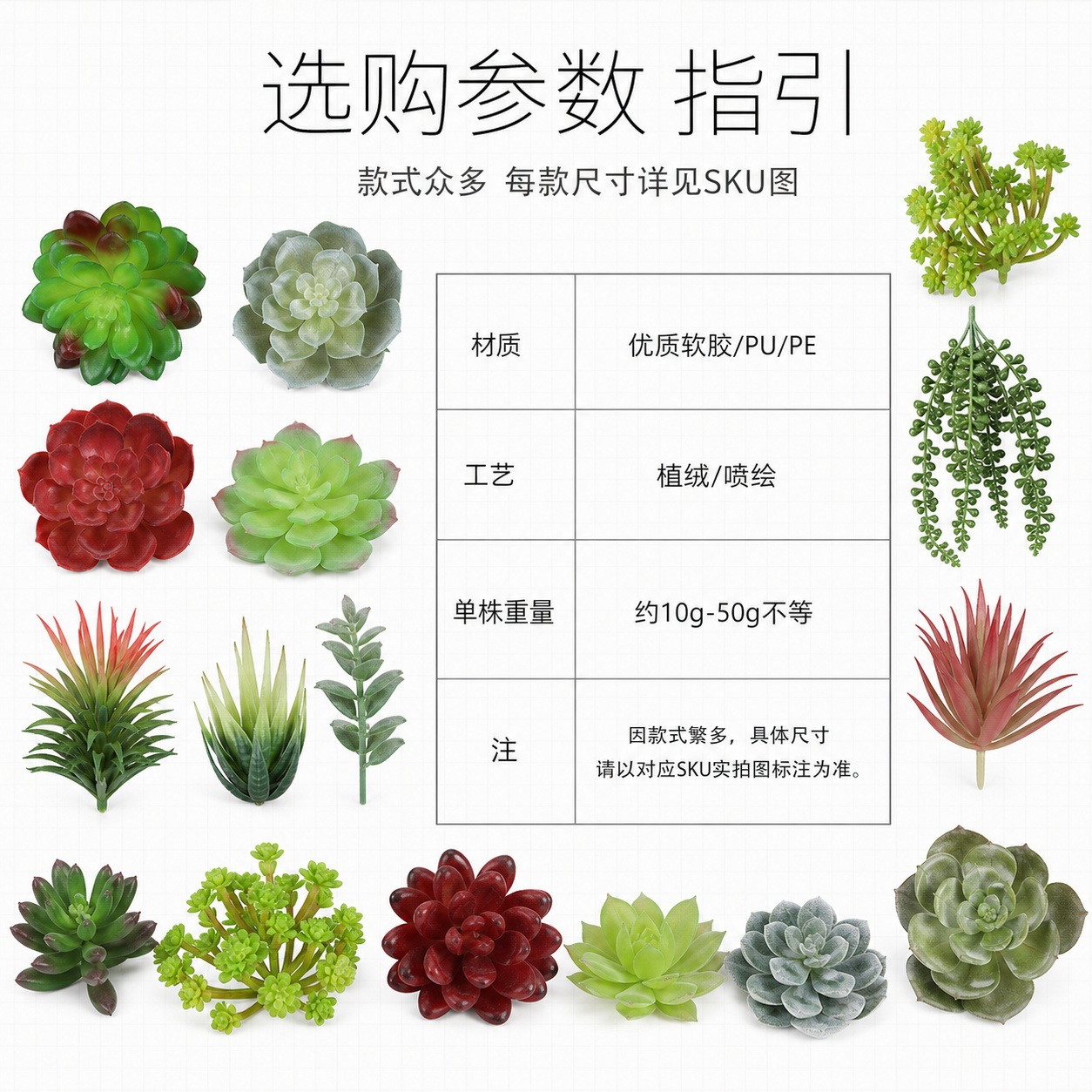 6101多肉详情页 (9).jpg
