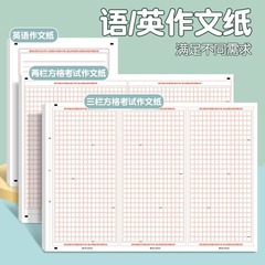 大学入試作文用紙 A3 高校生・中学生向け入試作文用紙 特殊A4英作文用紙 800方眼