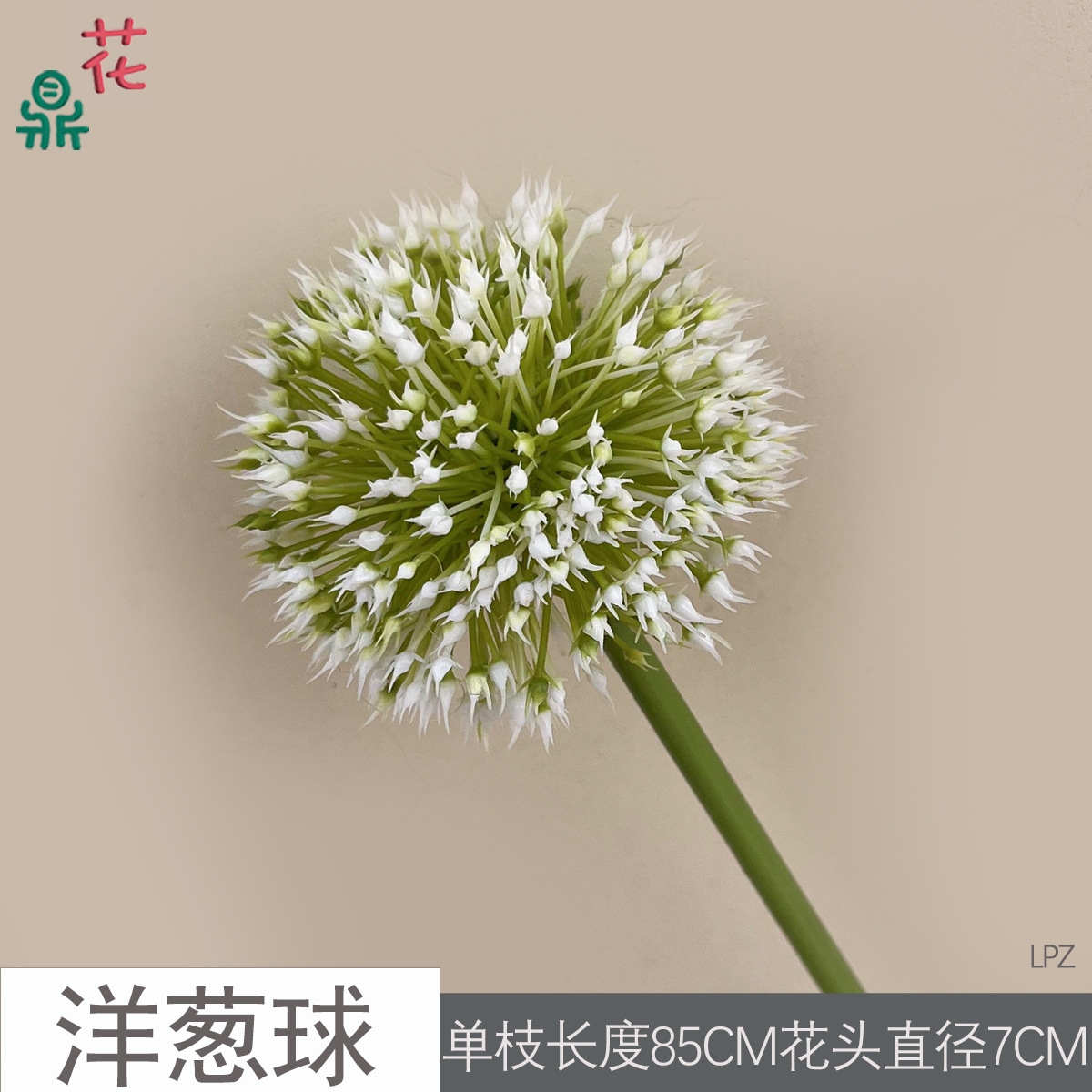 양파볼 LPZ 화이트