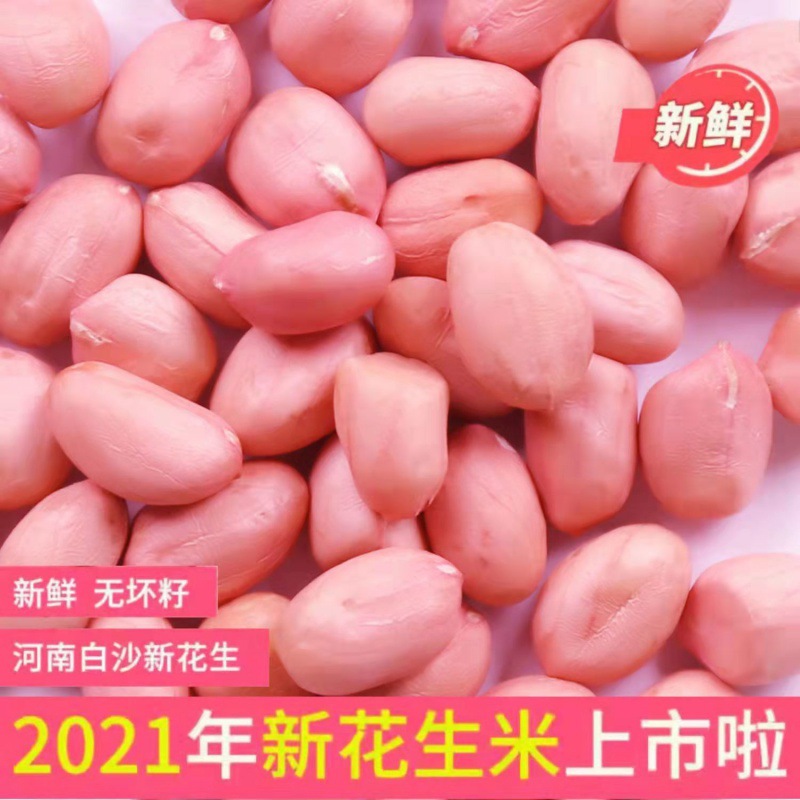 2021 Peanuts new goods selected Super grain Baisha wholesale Special Offer peanut seed