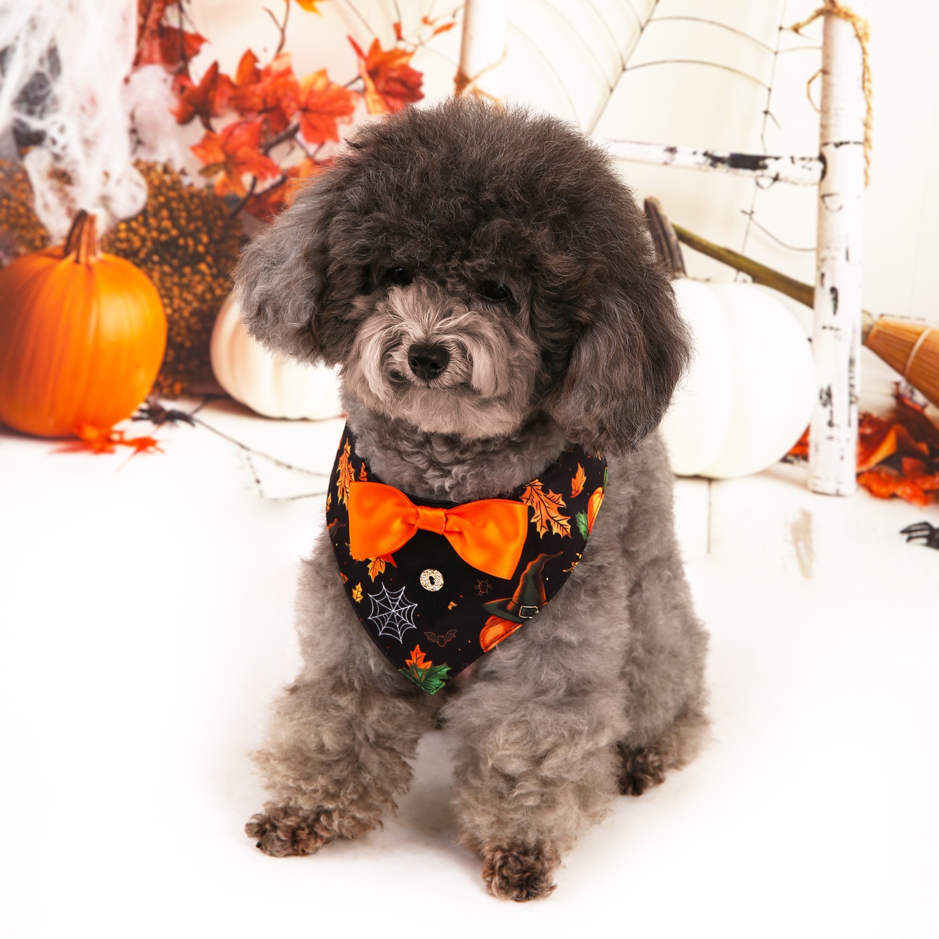 Halloween nuevo traje de mascotas toallas triangulares toallas de saliva collar de mascotas fábrica de ropa de perro en stock