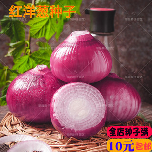 �ϼt���[�N�����[�A�[�^�ﶬ���߮a�����̨�����ļ��߲˷N������