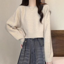 圆领软糯毛衣女秋冬2025新款慵懒宽松显瘦套头长袖短款针织衫上衣