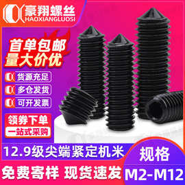 12.9级碳钢尖端紧定螺丝黑色尖头内六角机米止付螺丝M3/M5/M8/M16