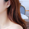 Fresh earrings, fashionable small zirconium, silver 925 sample, simple and elegant design, internet celebrity, light luxury style