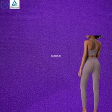 N245PY2 88% 锦纶12% 氨纶锦有光加厚340GSM面料适用于运动服