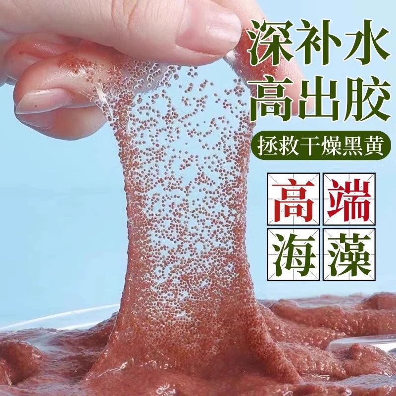 Маска из частиц натуральных морских водорослей, увлажняющая и увлажняющая, беременные женщины могут использовать ее для очищения пор. Маска из мелких частиц морских водорослей 500 г.