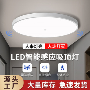 Led Sensor Light Ceiling Light Stair Aisle Light Corridor Corridor Light Infrared Human Body Radar Light Intelligent Voice Control Light