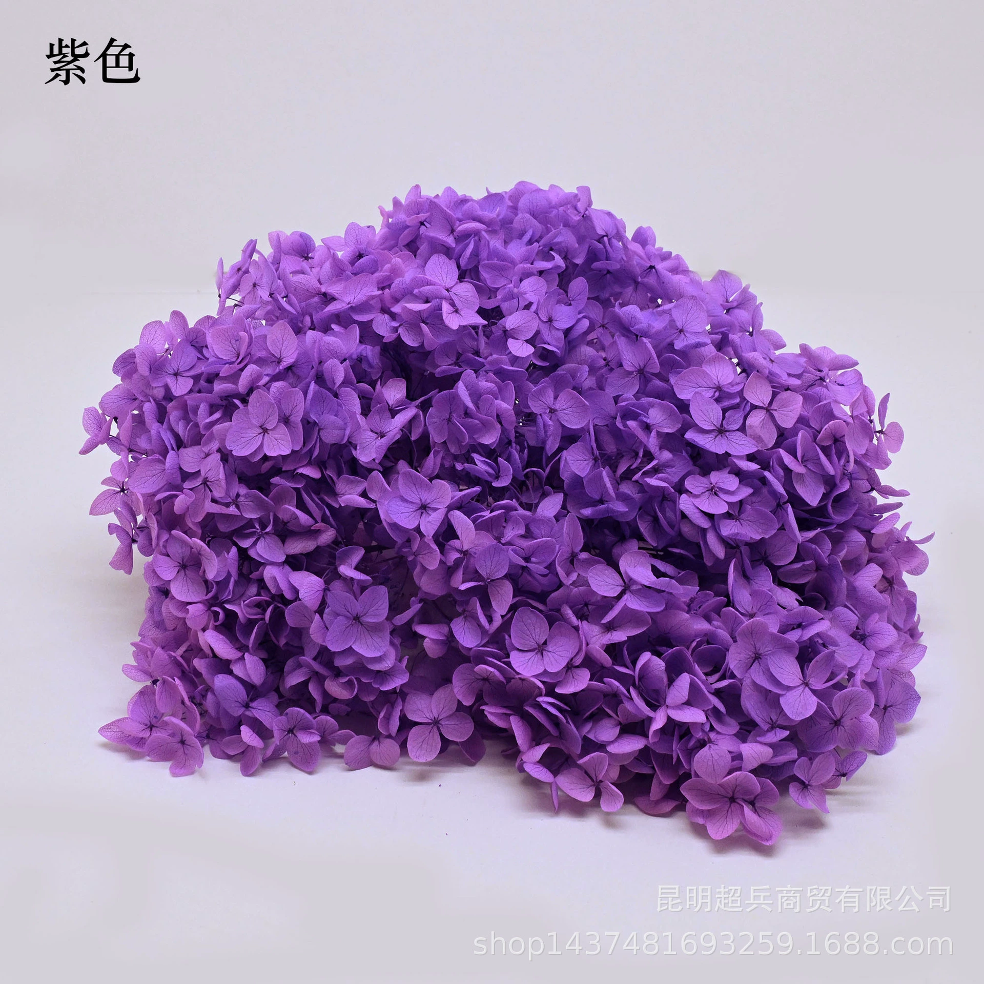 [Вечная Life Flower Hydrangea] Анна Градиентный цвет Лист Hydramid Книга цветов оптом DIY цветочная коробка материал для просмотра