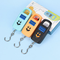 Household Electronic Scale Wholesale Handheld Portable Luggage Scale Spring Hook Scale Food Gram Scale