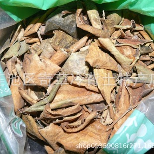 ����Ƥ,���ϴ���,����,���l��ș�ĺ��J�����ό�ֲ������