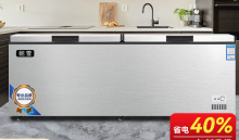 妮雪铜管速冻卧式冷柜大冰柜冷藏冰柜商用大容量小冰柜冷冻柜家用