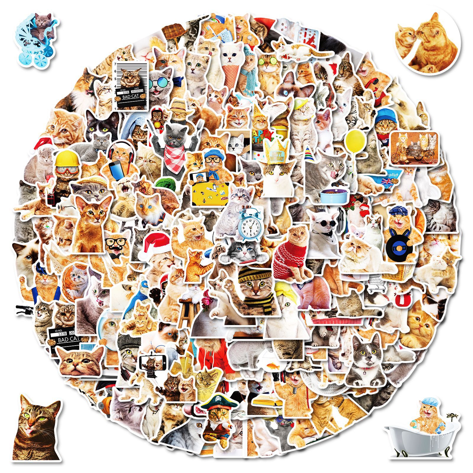 200 piezas de gato realista pegatinas transfronterizas Mori realista gatito adhesivo PVC impermeable portátil pegatinas al por mayor