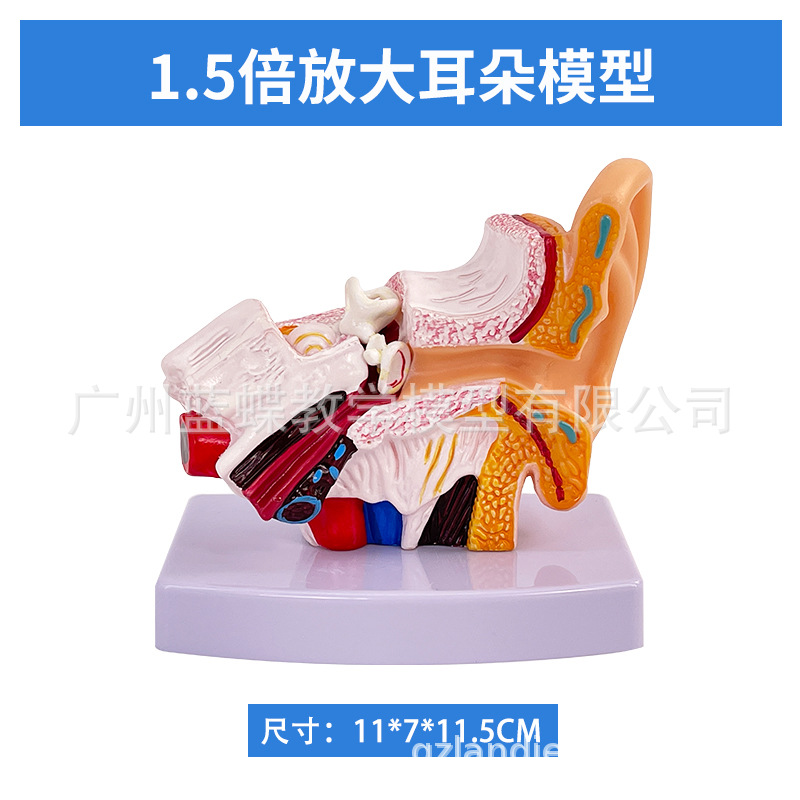 SKU2