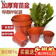 ������Ӻ�Ӳ�|���s���⻨���������lǤ�������Q����朏S���l