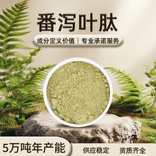 番泻叶肽 淡绿色 易溶于水 番泻叶香气 干燥避光储存 现货批发