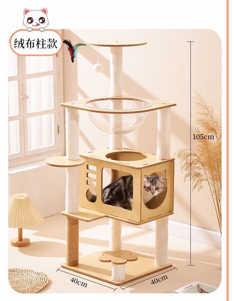 b099d90b-29bf-4f74-9d32-eddfa7f8f6b9.jpe