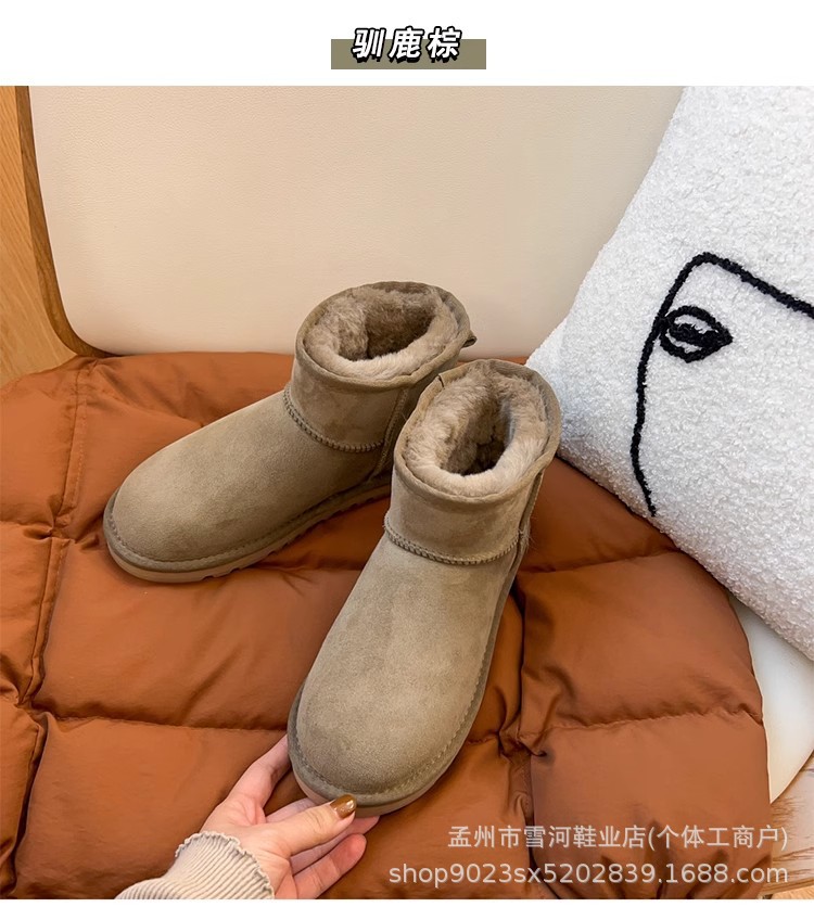 5854 영양 브라운