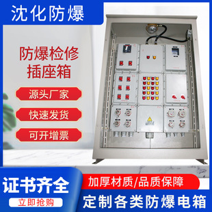 Dust explosion-proof distribution box power lighting junction box surge instrument button control cabinet maintenance socket explosion-proof box