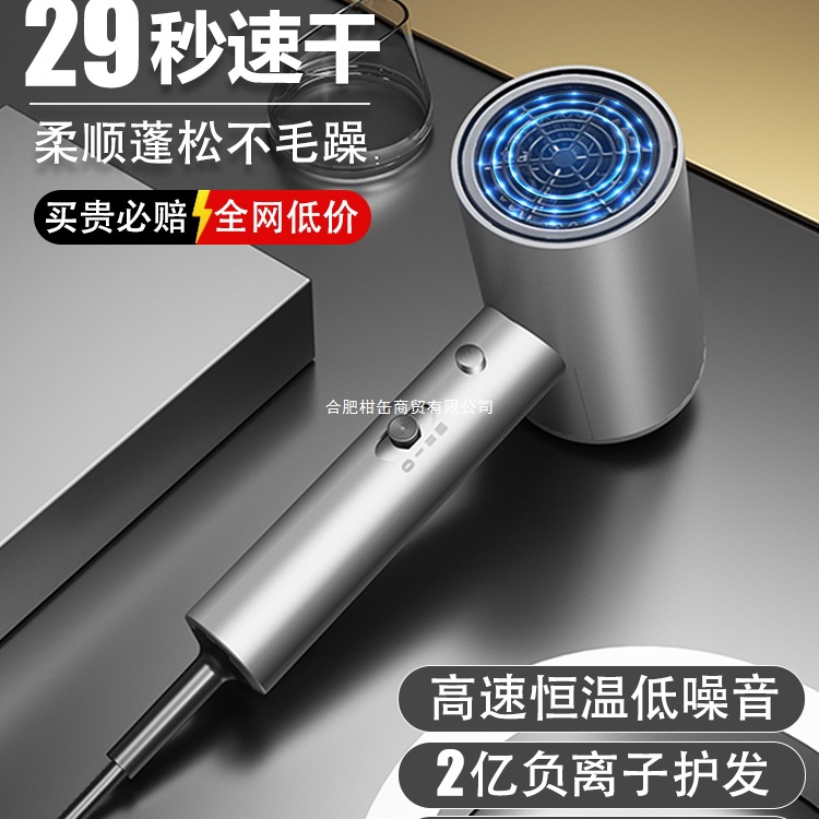 Hair Dryer Household High Wind Power Negative Ion Hair Care Silent Quick-Drying Student Dormitory Men's Hair Dryer