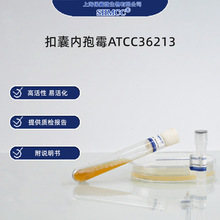 ��������ùATCC36213 �����ǵ���ø ��ø���� �Ϻ��ֻ�