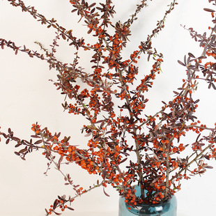 �������𼬹��ɻ���Ȼ�滨ϲ�c�����b[�O�廨�쾰ܛ�b�t��ѹ�