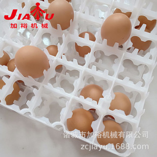 �������a�S�� �N�u������ �u�����D���ϵ���36ö�p�X����