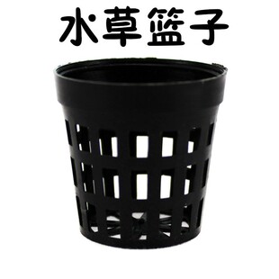 �~�� ˮ�ݷNֲ�@�� ˮ�ݱ� ���bˮ������̖ �M��������ˮ�ݻ@��