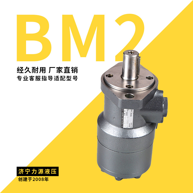 回转支撑马达生产厂家 履带式钻车液压马达 BM系列多型号齐全