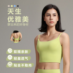 夏の新作高強度スポーツブラ 女性用 耐衝撃 フィットネス 美背ヨガ 無地下着 シームレスブラ 卸売