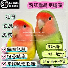 ĵ���W�^���ܾ����N���B�����˹����������ܾ����ƽ�ȫ�Ԅӷ�����