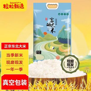 ���5�︻��������|������2026�ꮔ�����׃��|�r�����B���״��l