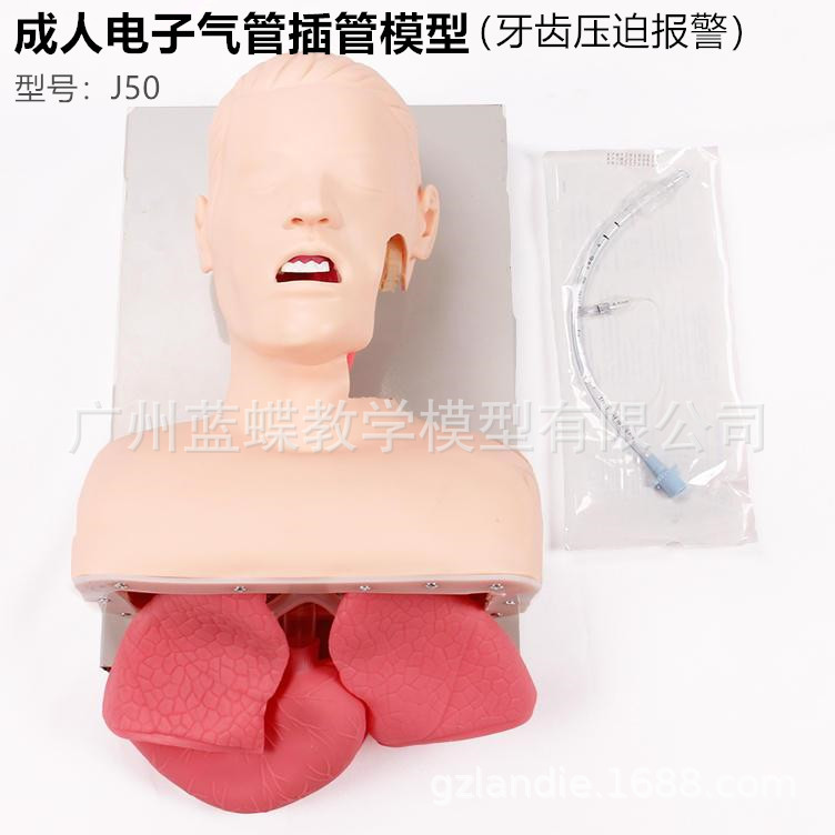 J50���˵������ܲ�ܽ�ѧģ�ʹ����� ���弱��ѵ�� ����ѹ�ȱ���